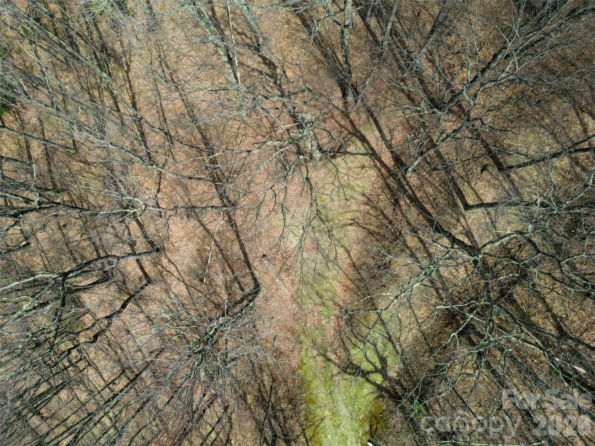 0 Legend Road Waynesville NC 28786