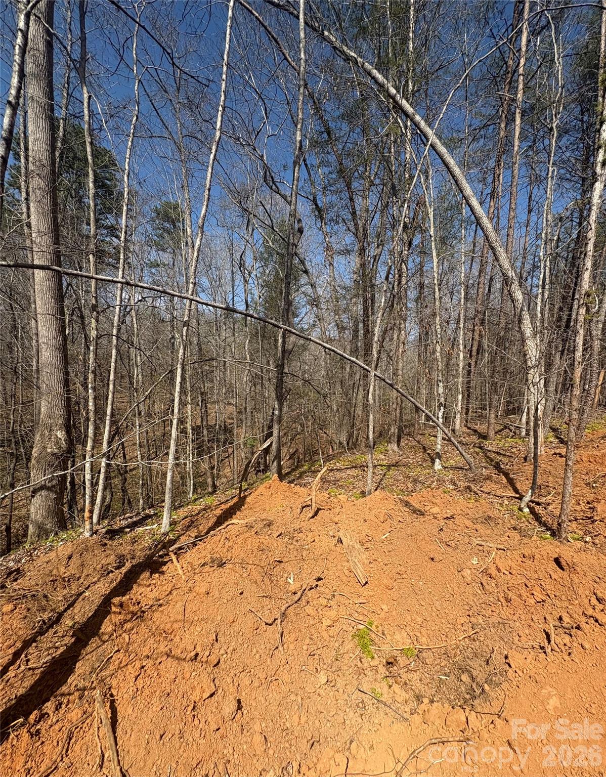 Tbd Avenida De Oro Road Morganton NC 28655