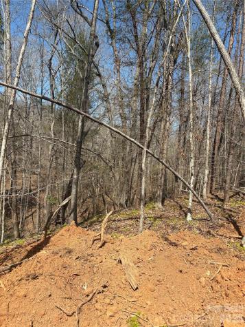 Tbd Avenida De Oro Road Morganton NC 28655