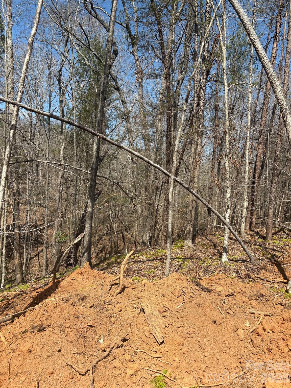 Tbd Avenida De Oro Road Morganton NC 28655