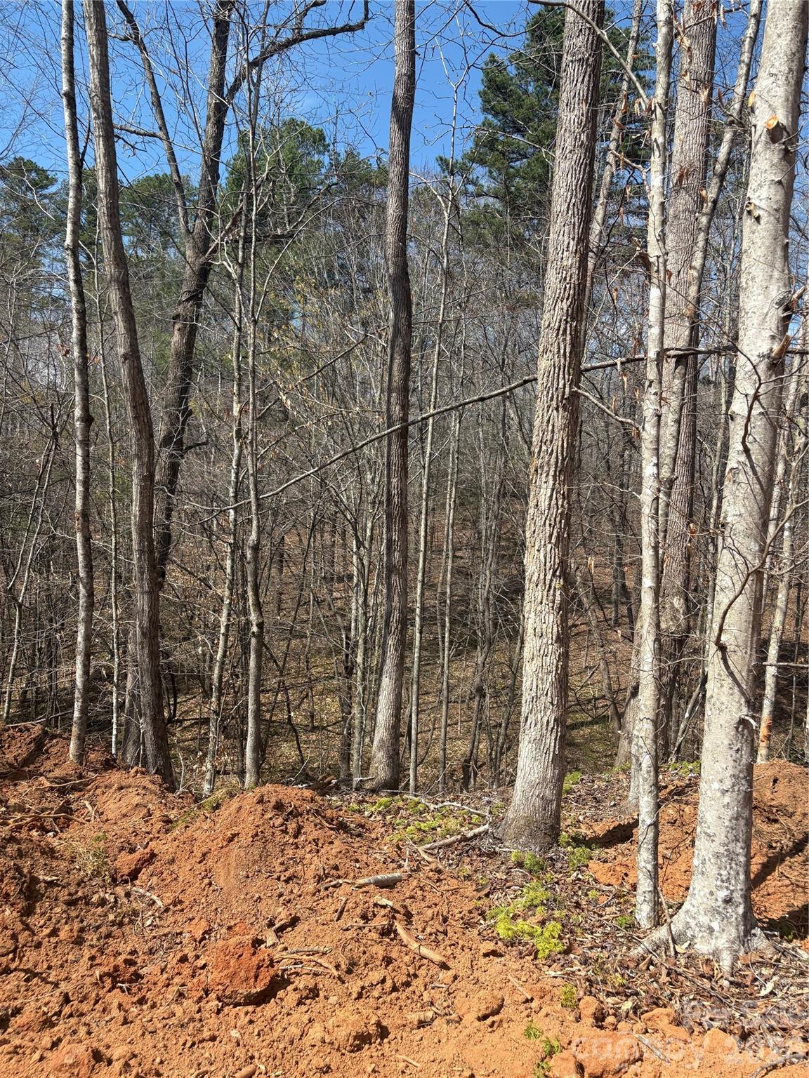 Tbd Avenida De Oro Road Morganton NC 28655
