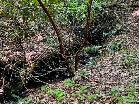 000 Crabtree Woods Road Spruce Pine NC 28777