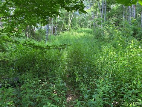 000 Crabtree Woods Road Spruce Pine NC 28777