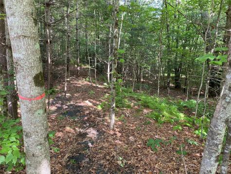 000 Crabtree Woods Road Spruce Pine NC 28777