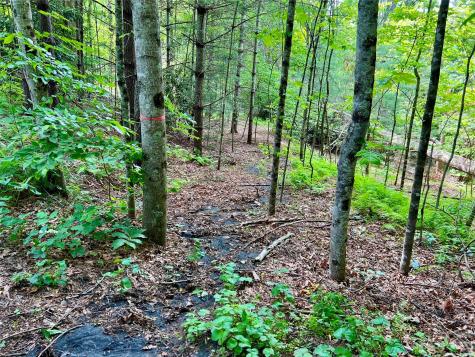 000 Crabtree Woods Road Spruce Pine NC 28777