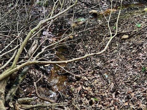 000 Crabtree Woods Road Spruce Pine NC 28777