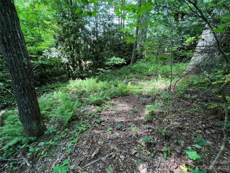 000 Crabtree Woods Road Spruce Pine NC 28777