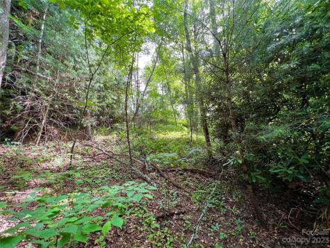 000 Crabtree Woods Road Spruce Pine NC 28777