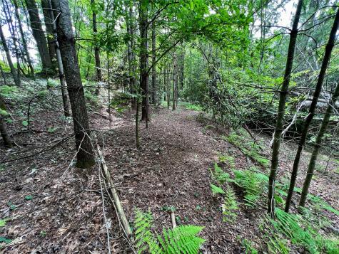 000 Crabtree Woods Road Spruce Pine NC 28777