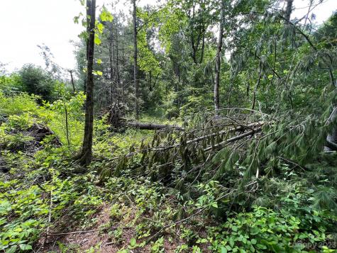 000 Crabtree Woods Road Spruce Pine NC 28777