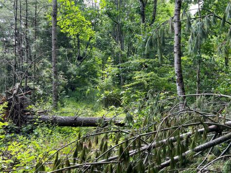 000 Crabtree Woods Road Spruce Pine NC 28777