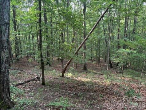 00 Cardinal Circle Tryon NC 28782