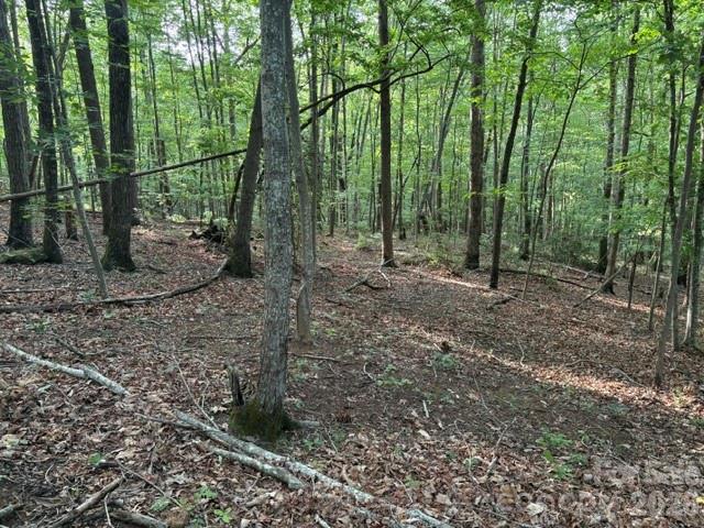 00 Cardinal Circle Tryon NC 28782