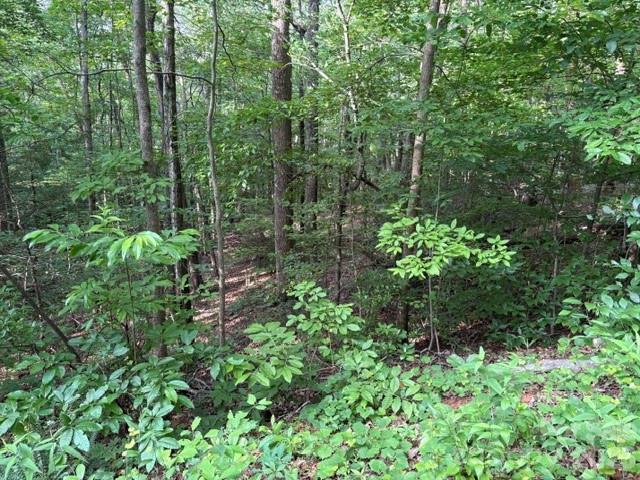 00 Cardinal Circle Tryon NC 28782