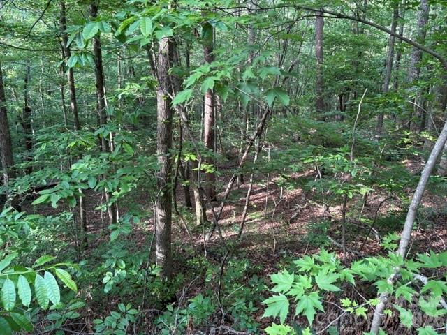 00 Cardinal Circle Tryon NC 28782