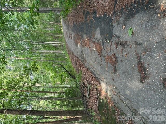00 Cardinal Circle Tryon NC 28782