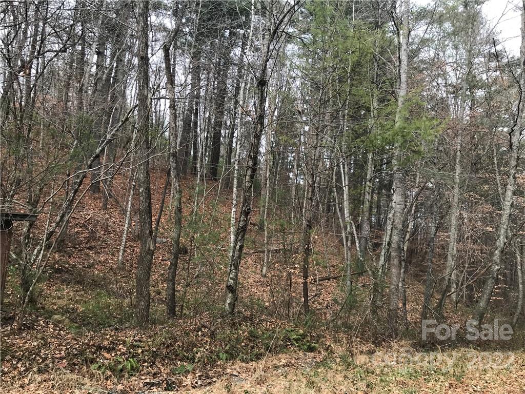 27 Eller Hollow Road Weaverville NC 28787