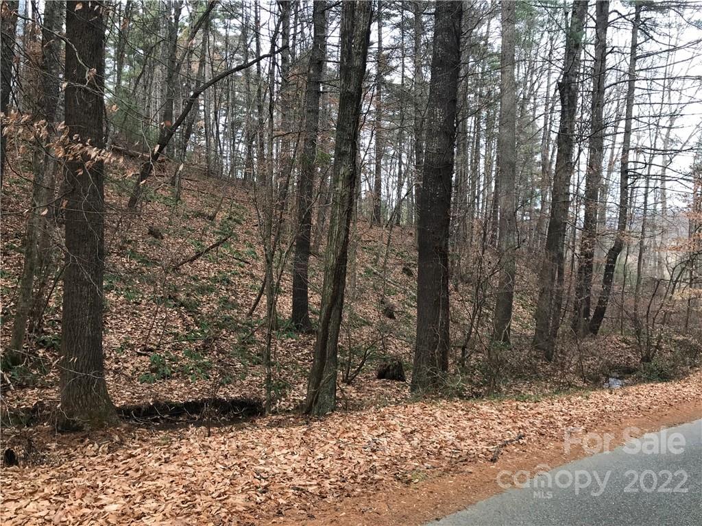 27 Eller Hollow Road Weaverville NC 28787