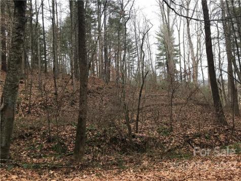 27 Eller Hollow Road Weaverville NC 28787