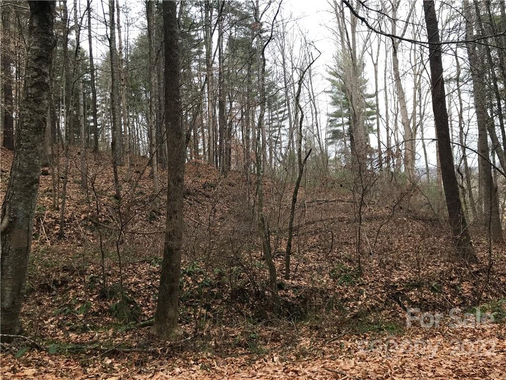 27 Eller Hollow Road Weaverville NC 28787