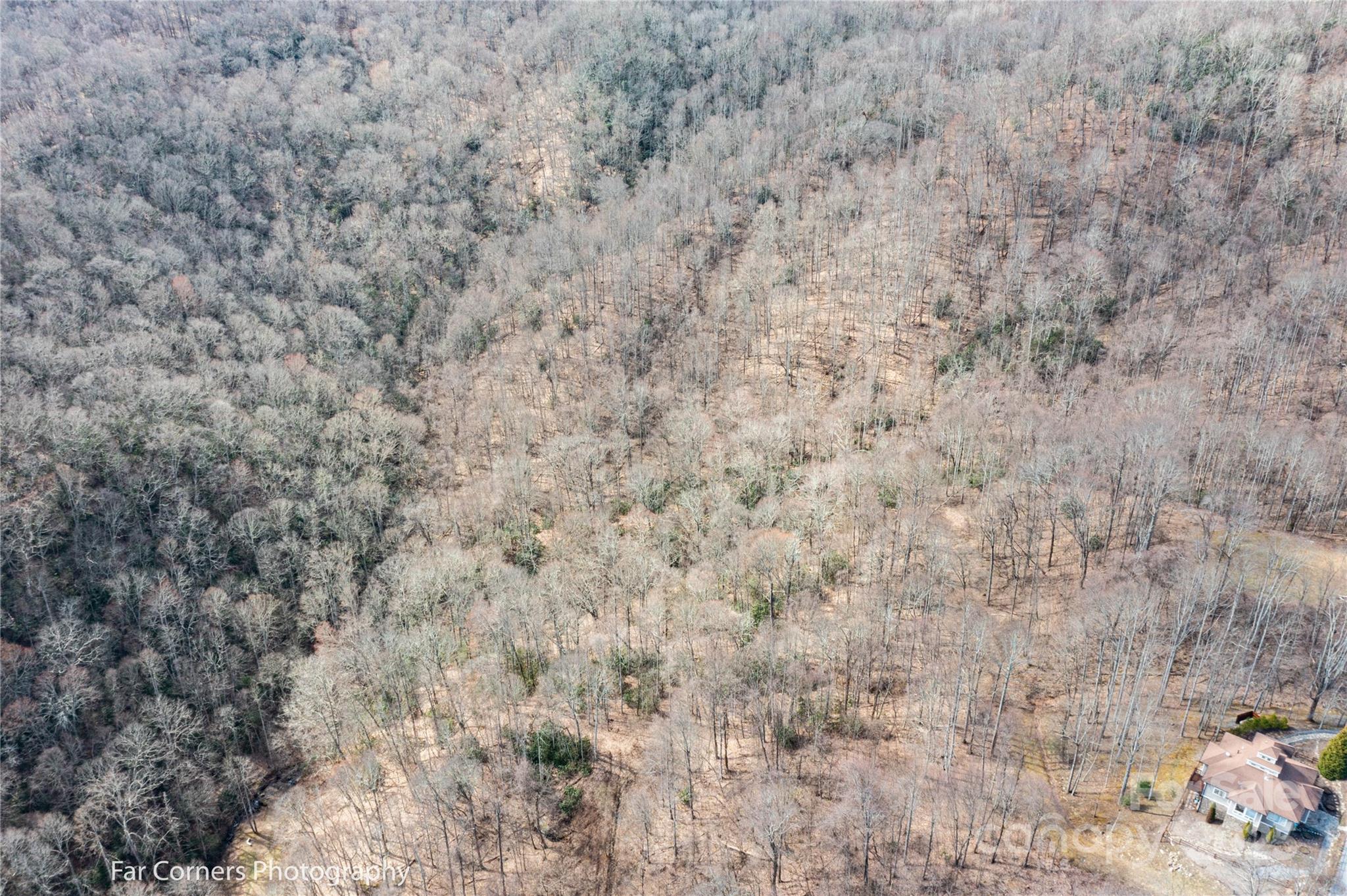 9 Chandra Lane Clyde NC 28721