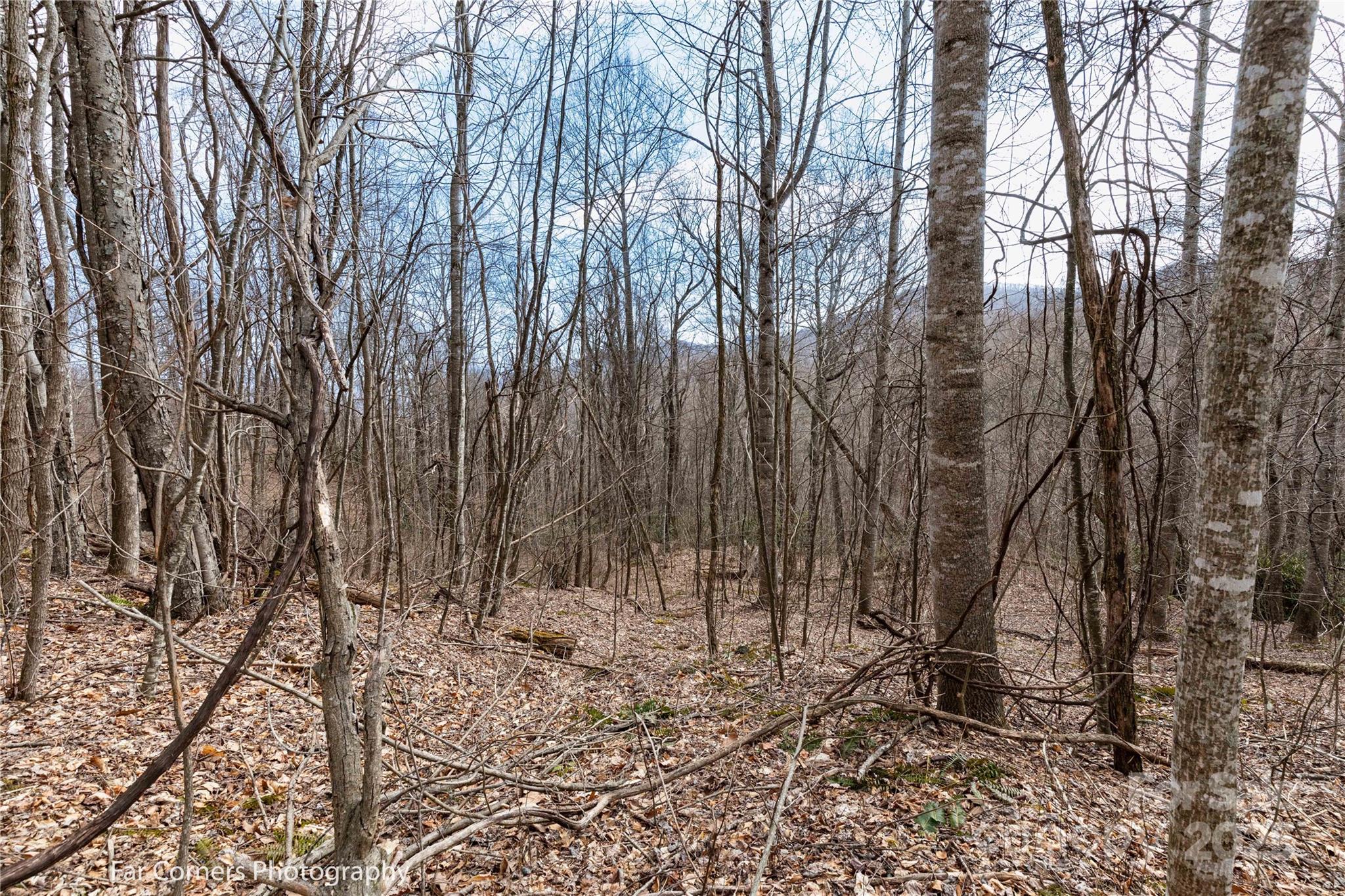 9 Chandra Lane Clyde NC 28721