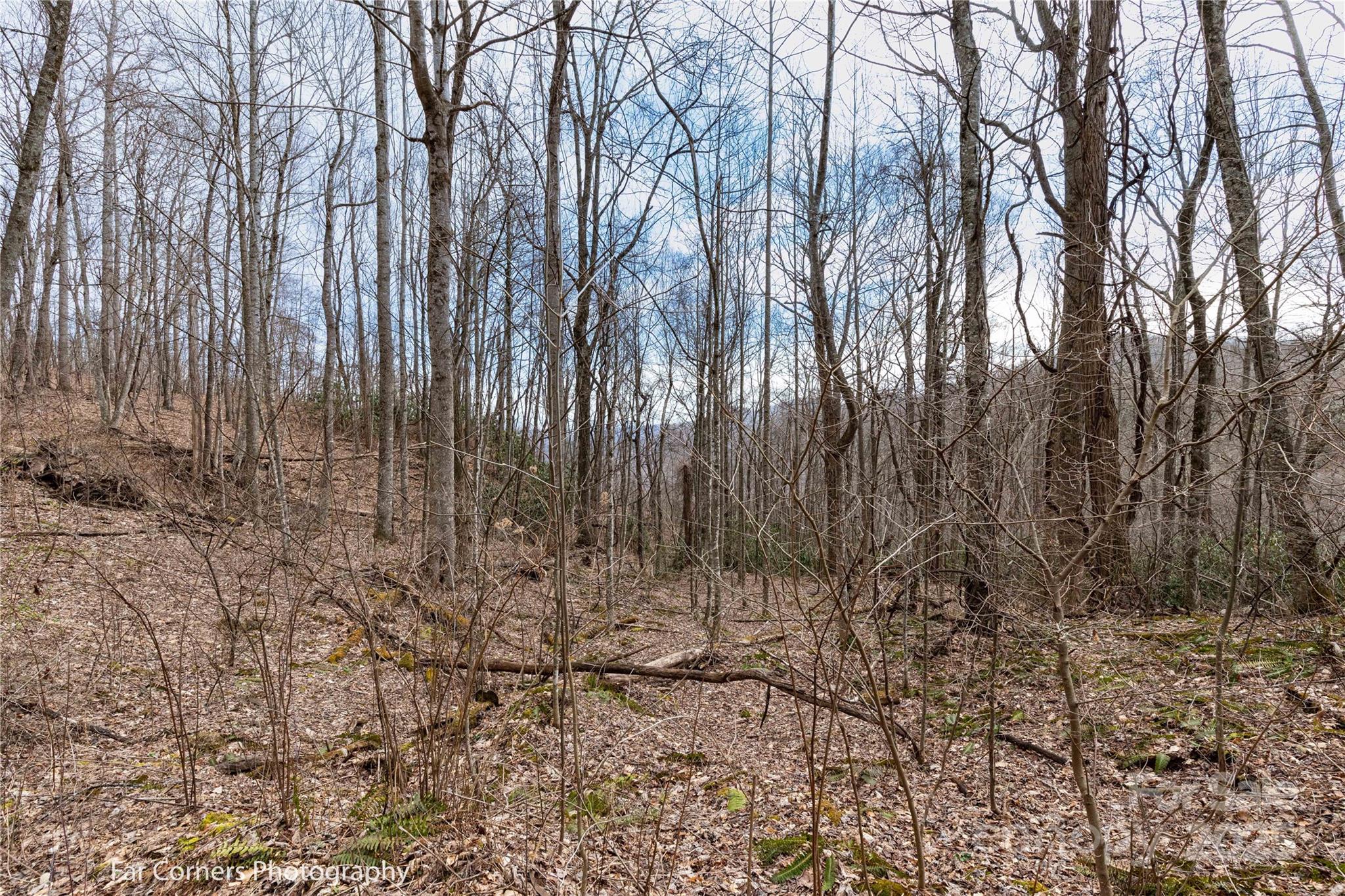 9 Chandra Lane Clyde NC 28721