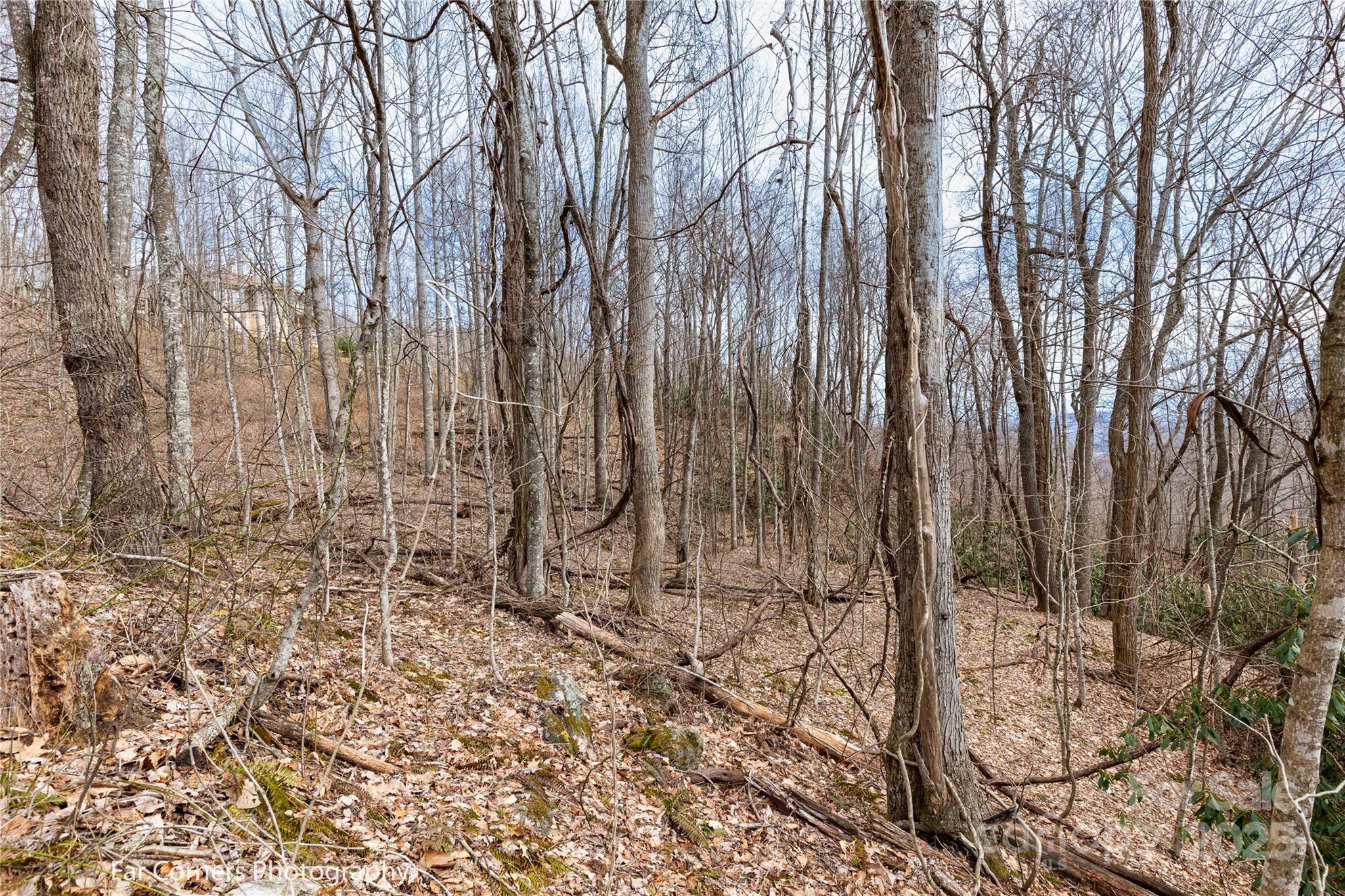 9 Chandra Lane Clyde NC 28721