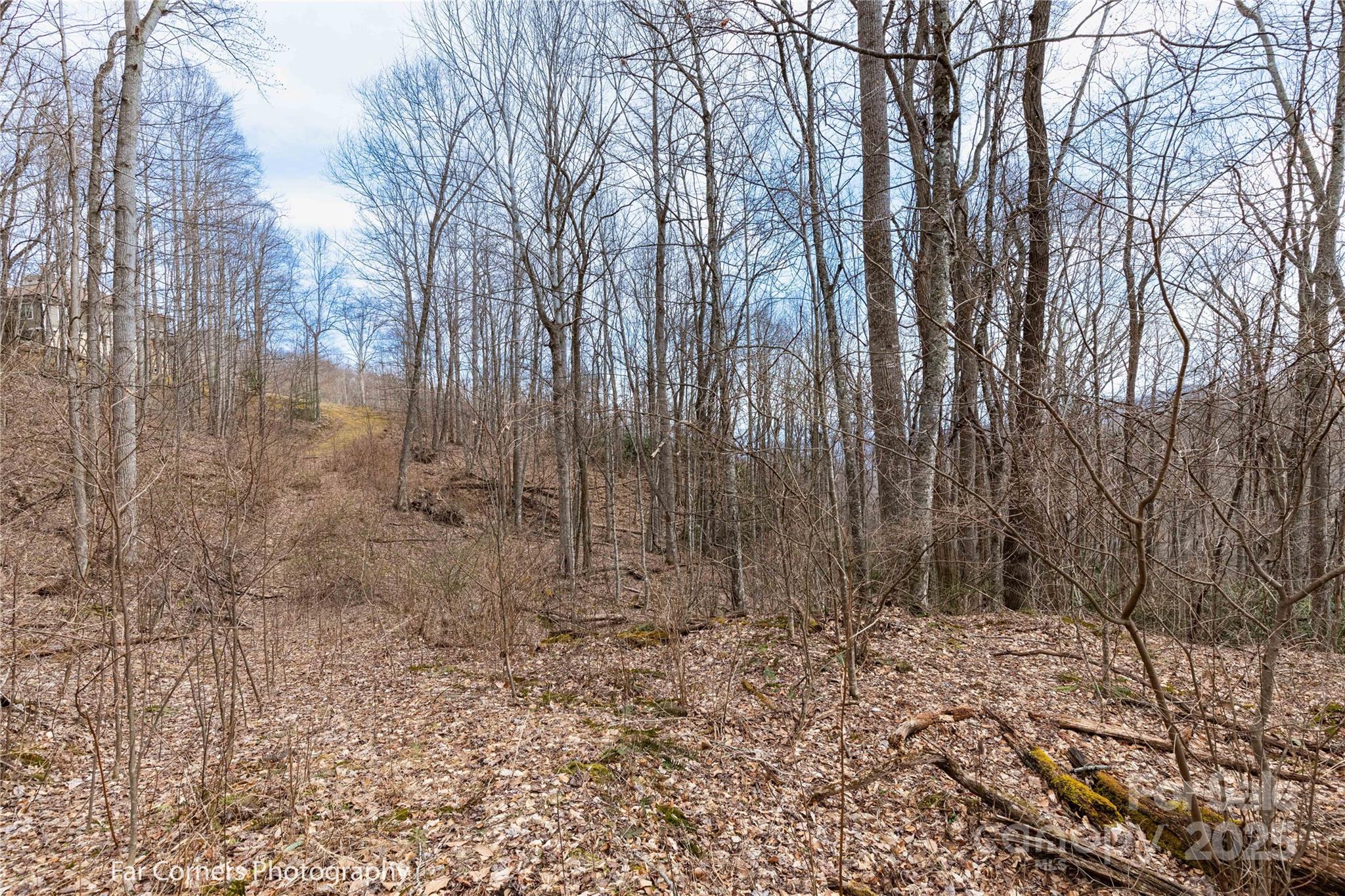 9 Chandra Lane Clyde NC 28721