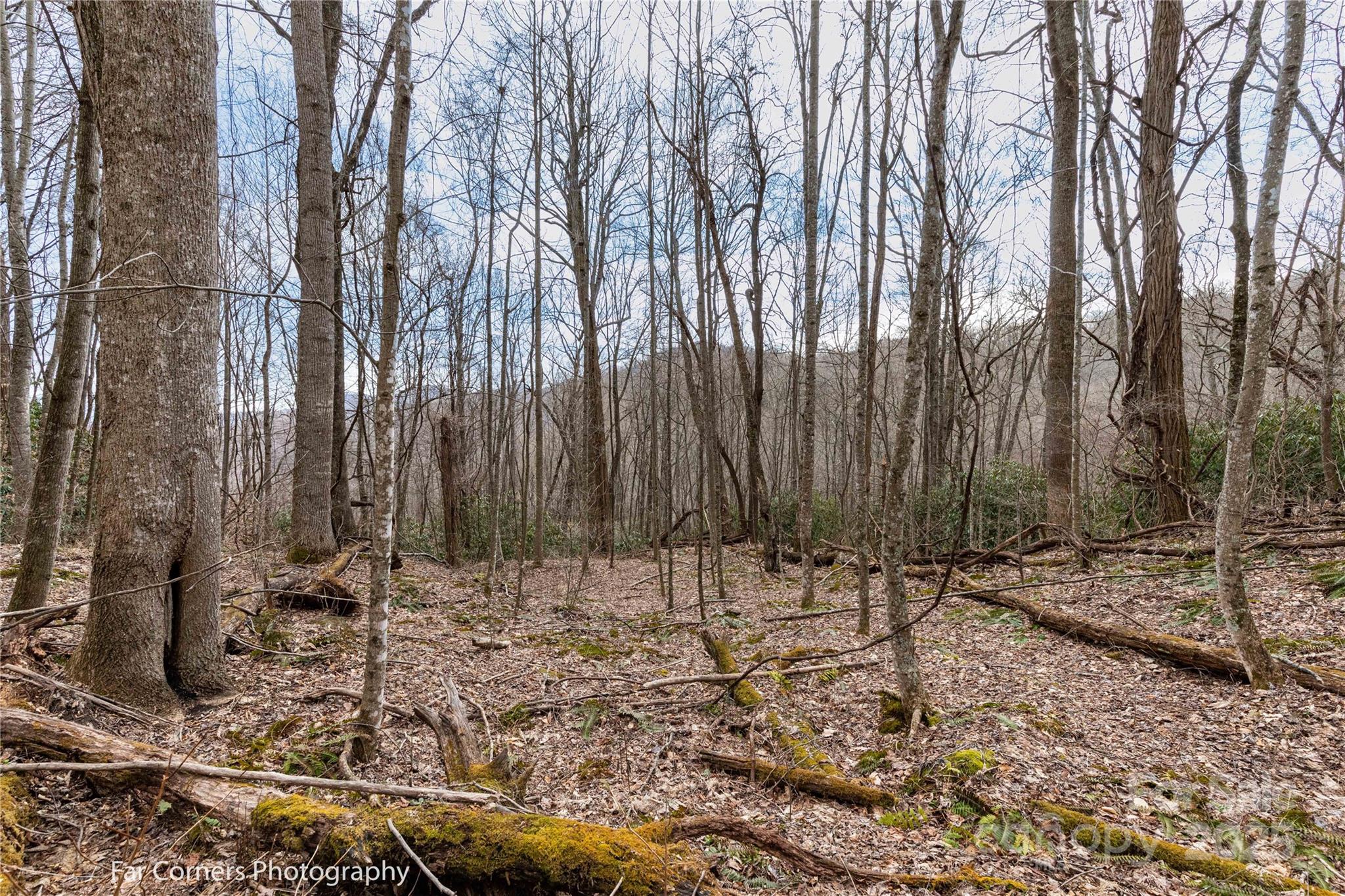 9 Chandra Lane Clyde NC 28721