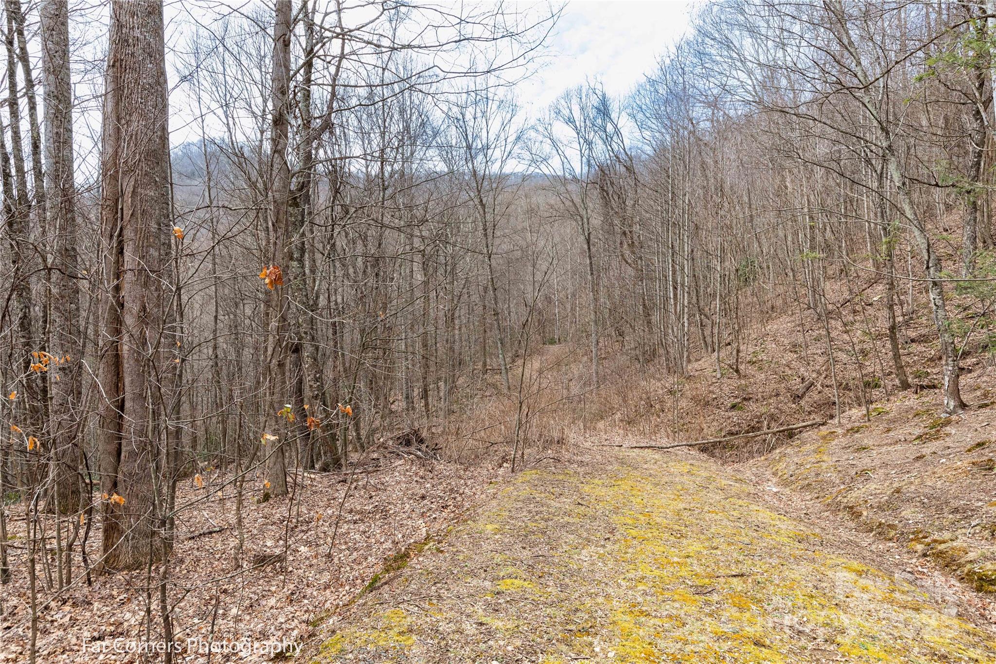 9 Chandra Lane Clyde NC 28721