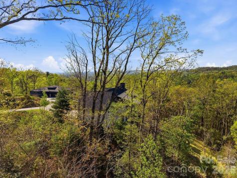 325 Curtain Bluff Hendersonville NC 28791