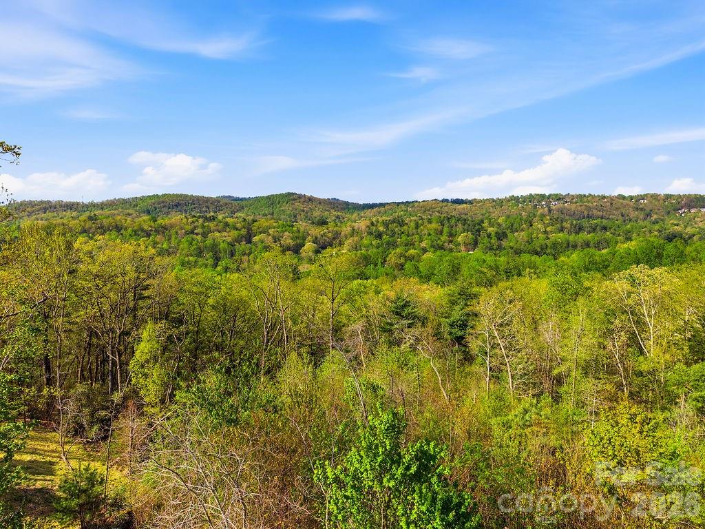 325 Curtain Bluff Hendersonville NC 28791