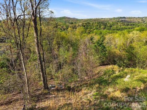 325 Curtain Bluff Hendersonville NC 28791