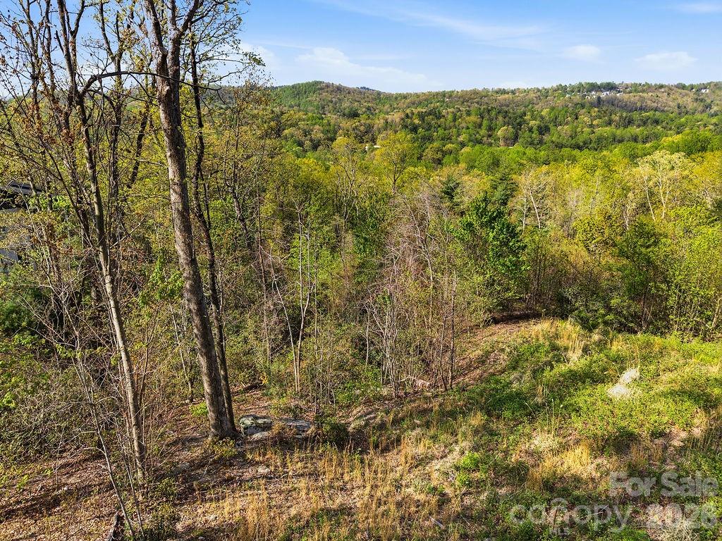 325 Curtain Bluff Hendersonville NC 28791