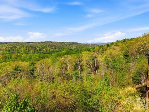 325 Curtain Bluff Hendersonville NC 28791
