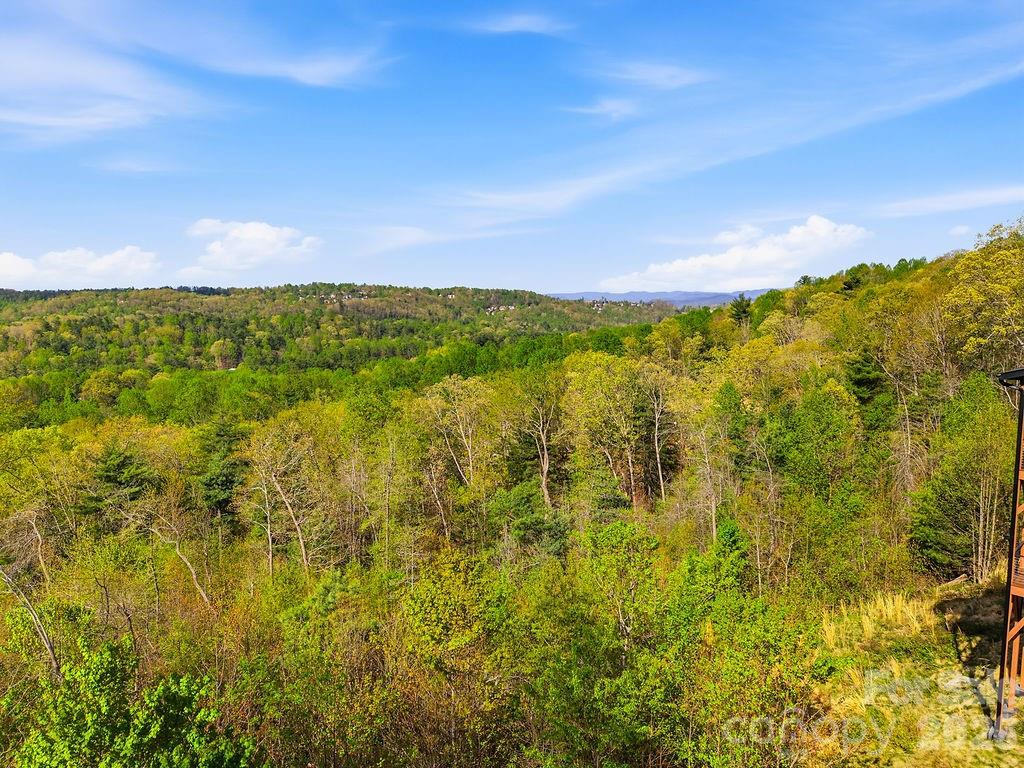 325 Curtain Bluff Hendersonville NC 28791