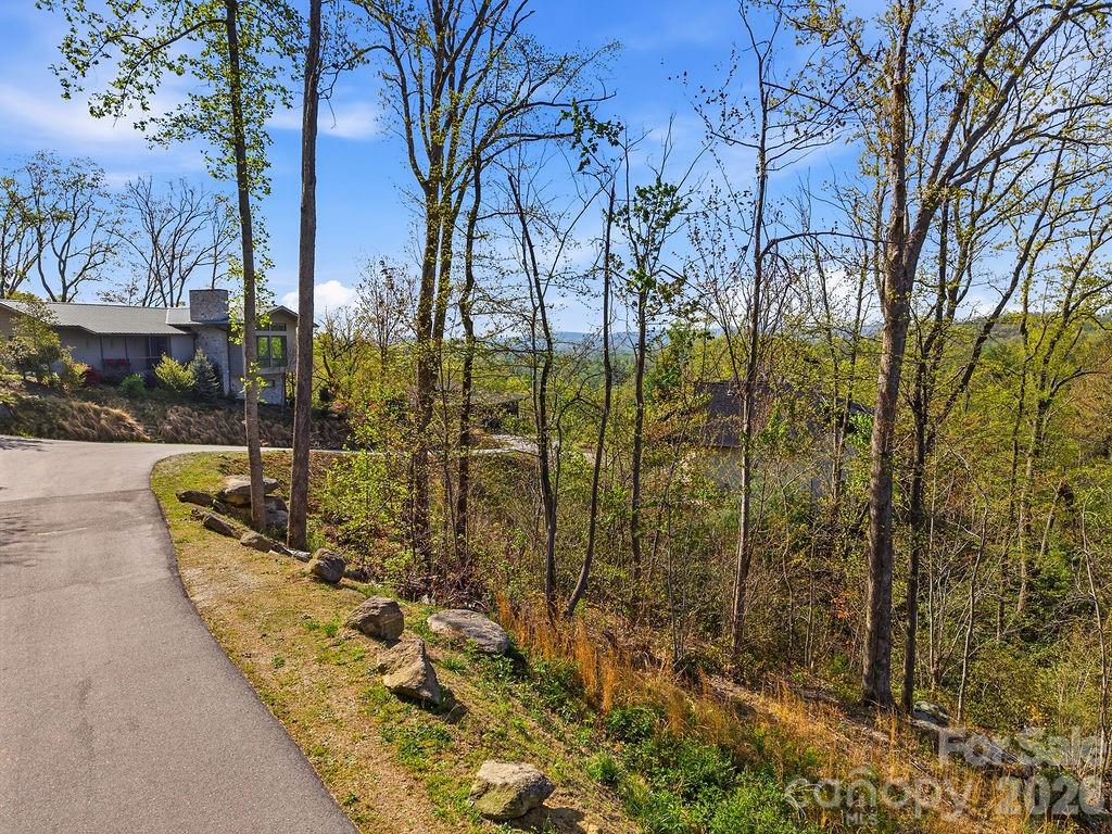 325 Curtain Bluff Hendersonville NC 28791