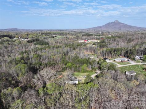 1164 Robert C Kellam Road Pinnacle NC 27043