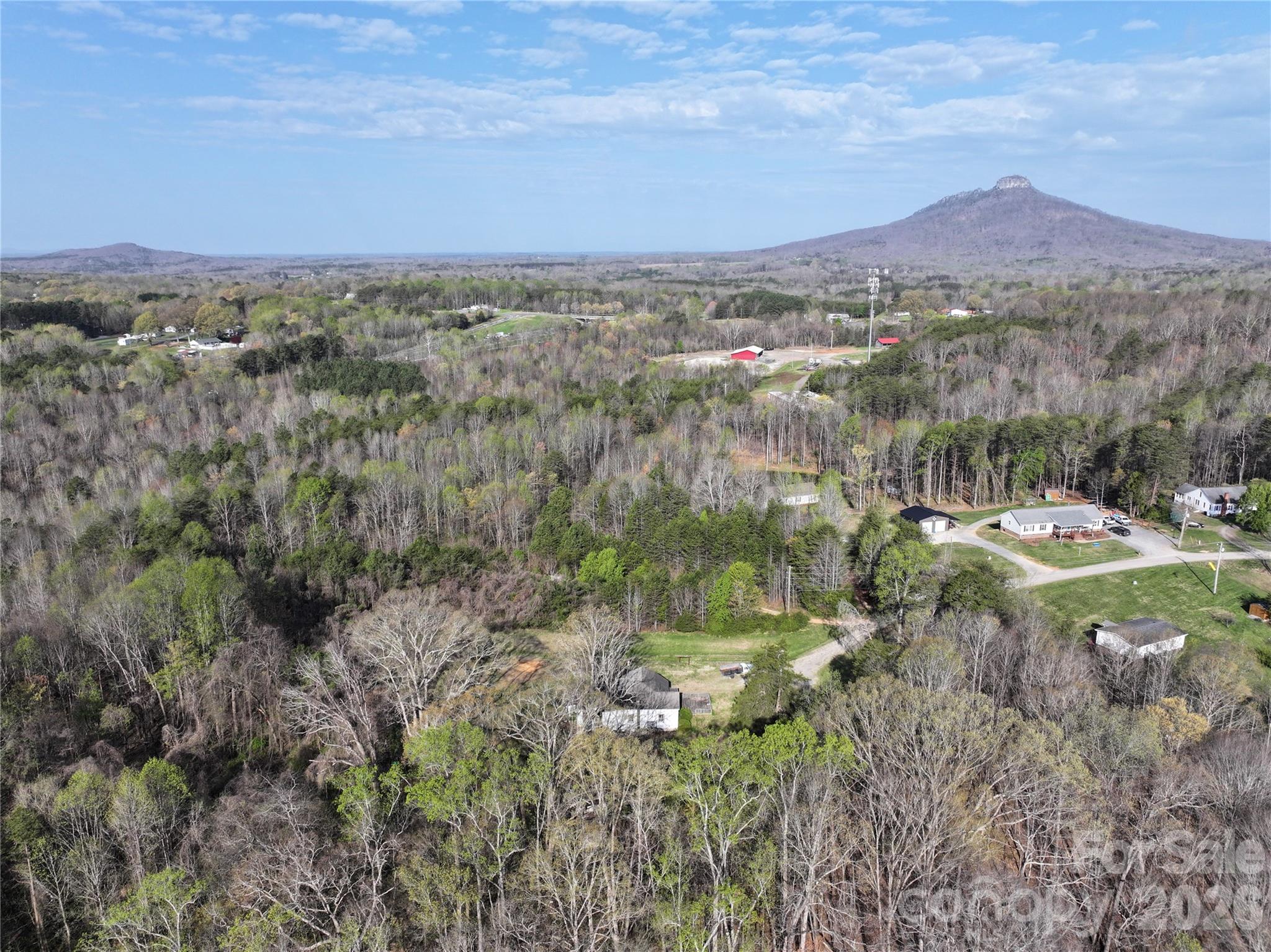 1164 Robert C Kellam Road Pinnacle NC 27043