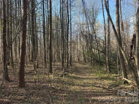 1164 Robert C Kellam Road Pinnacle NC 27043