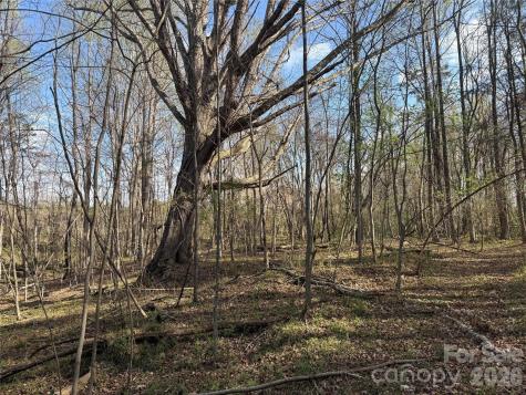1164 Robert C Kellam Road Pinnacle NC 27043