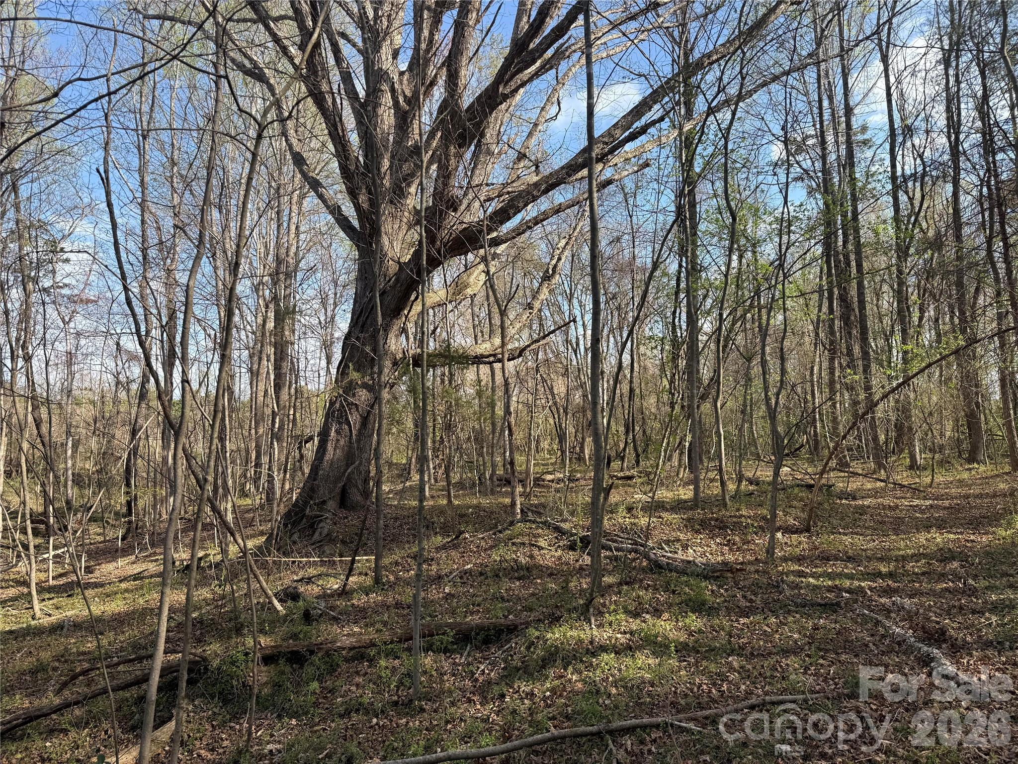 1164 Robert C Kellam Road Pinnacle NC 27043