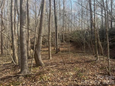 1164 Robert C Kellam Road Pinnacle NC 27043