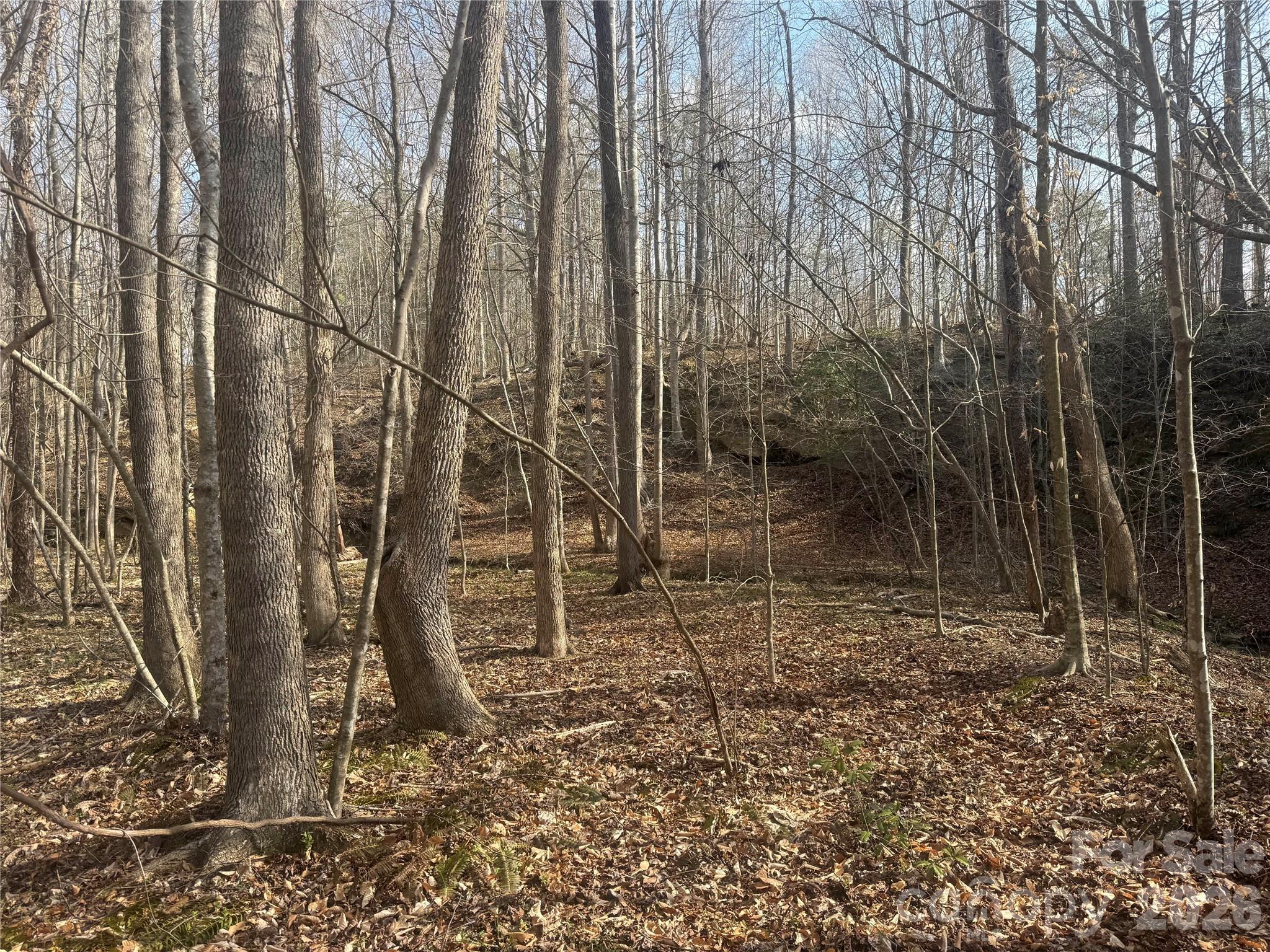 1164 Robert C Kellam Road Pinnacle NC 27043