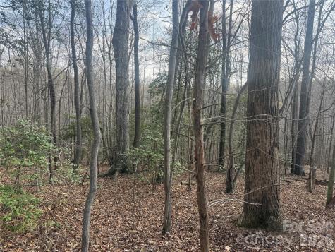 1164 Robert C Kellam Road Pinnacle NC 27043