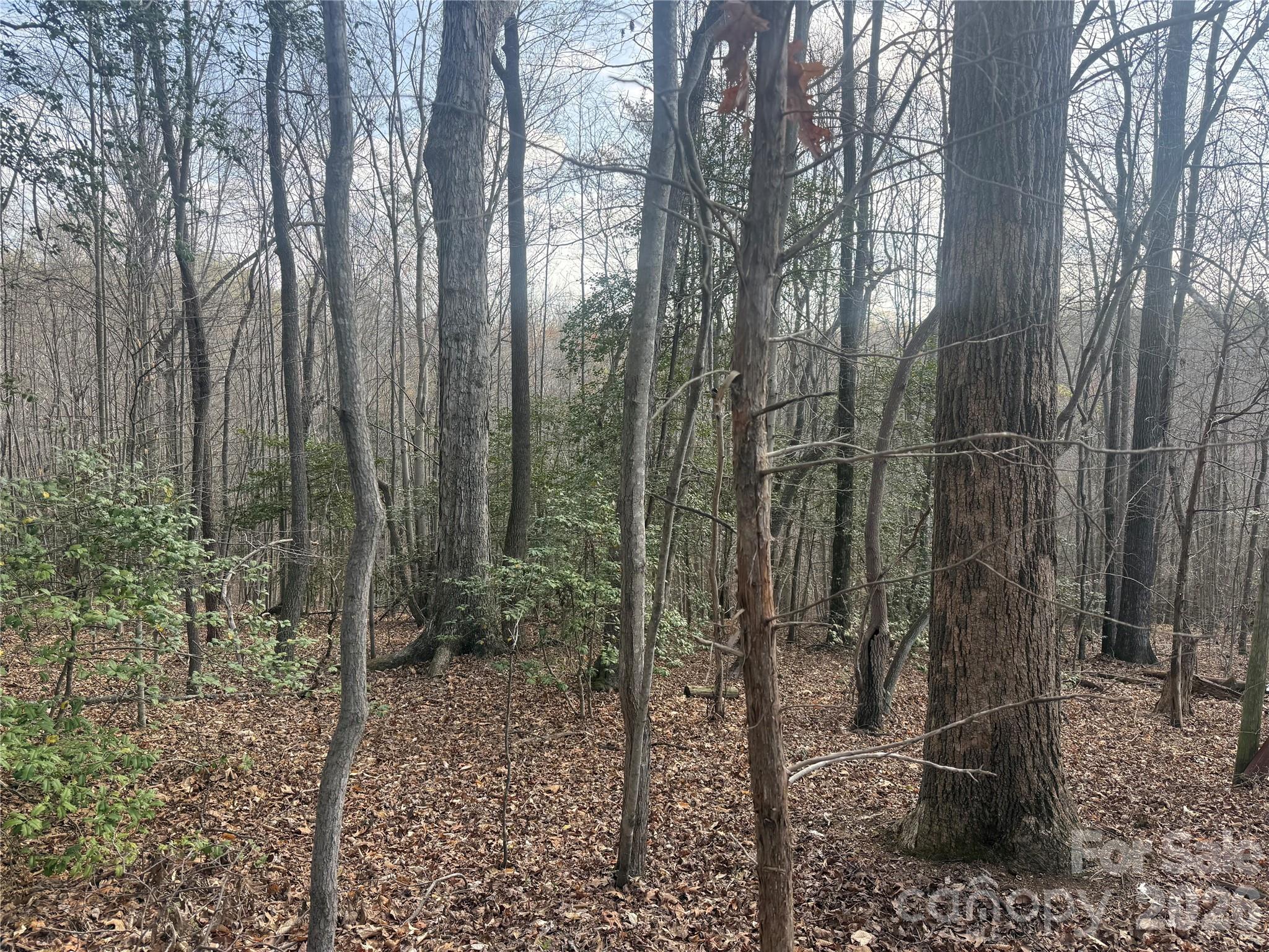 1164 Robert C Kellam Road Pinnacle NC 27043