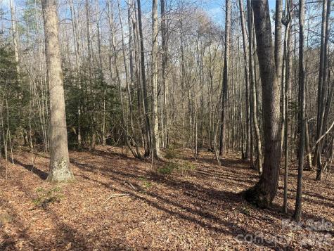 1164 Robert C Kellam Road Pinnacle NC 27043