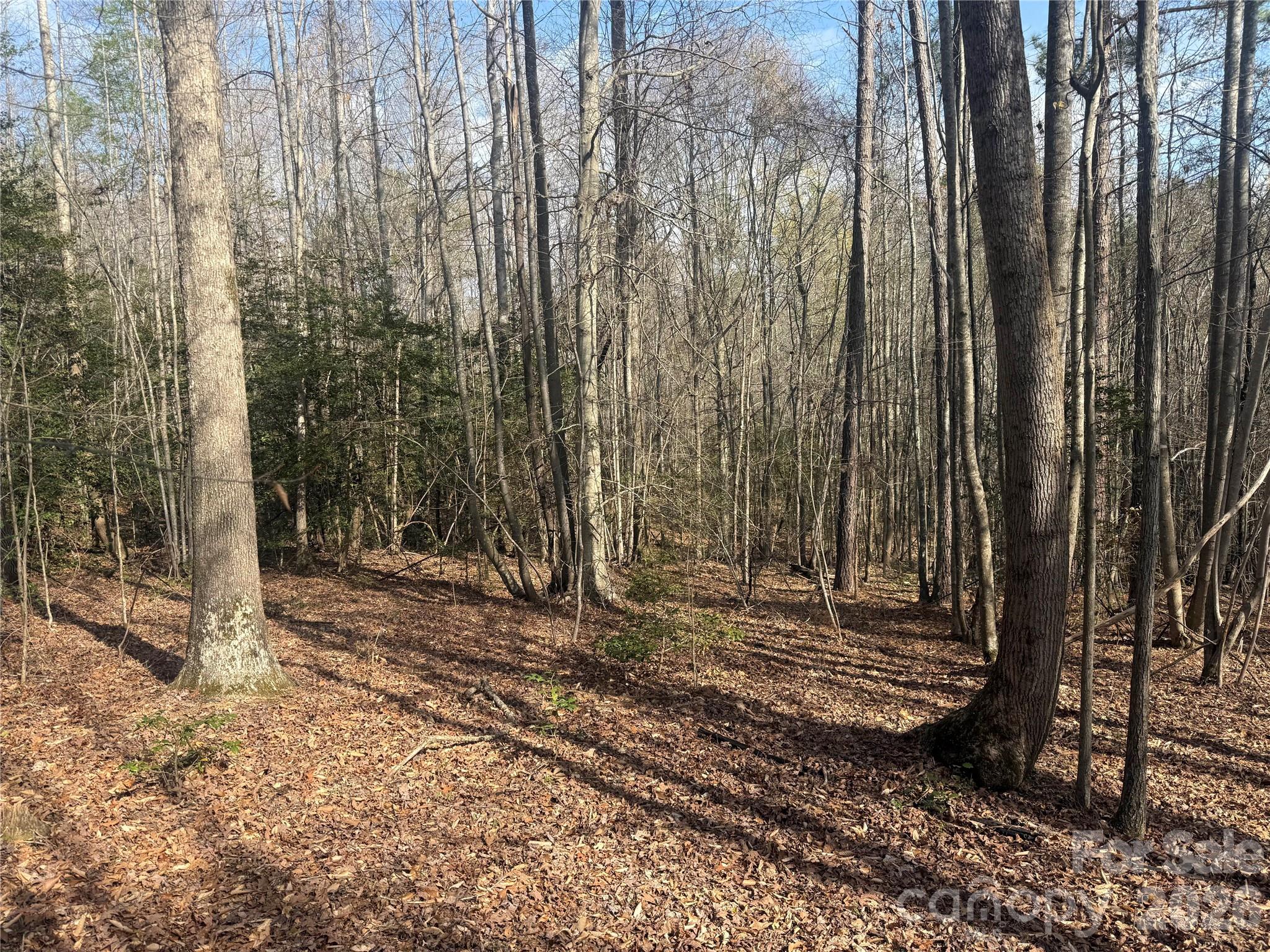 1164 Robert C Kellam Road Pinnacle NC 27043