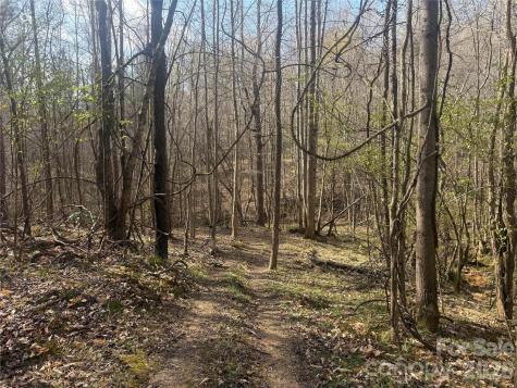 1164 Robert C Kellam Road Pinnacle NC 27043